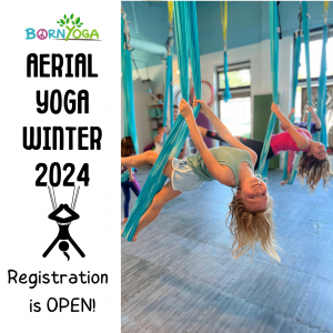 Aerial Yoga Winter 2024 1